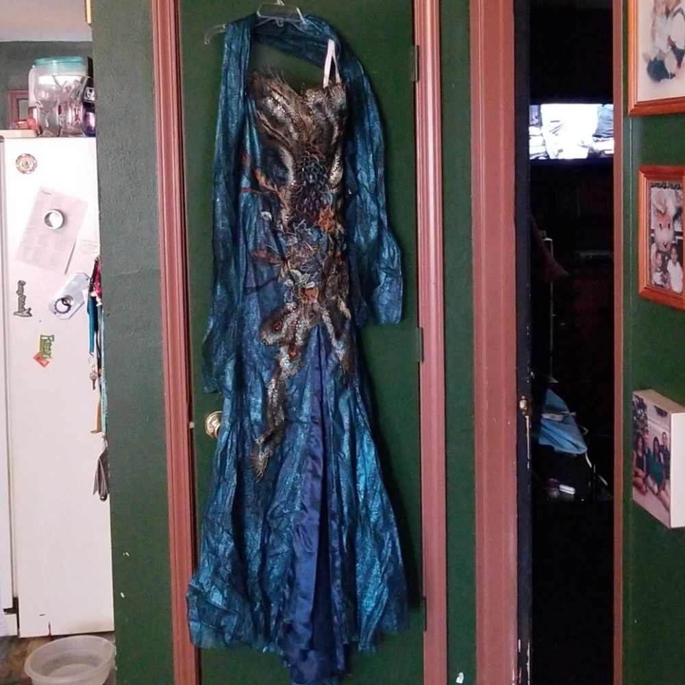 Tony Bowls Peacock evening gown